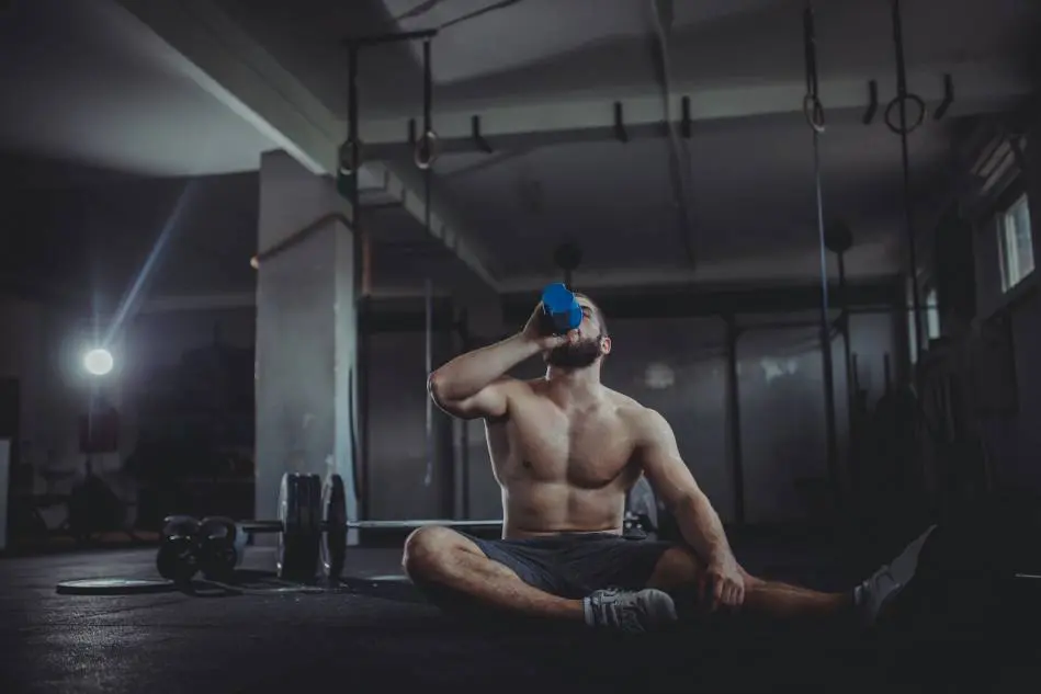 Supplement Tipps für den Muskelaufbau Supplement Tipps für den Muskelaufbau