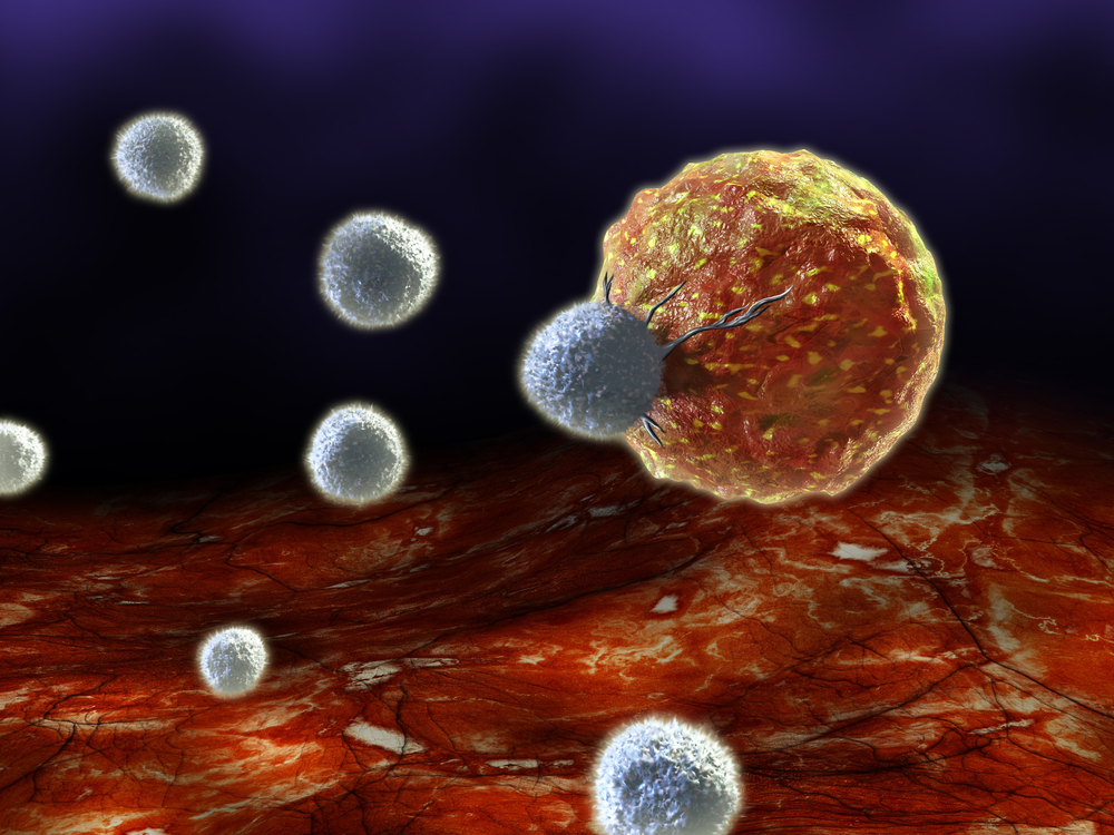 Definition, Aufbau und Funktion des Immunsystems